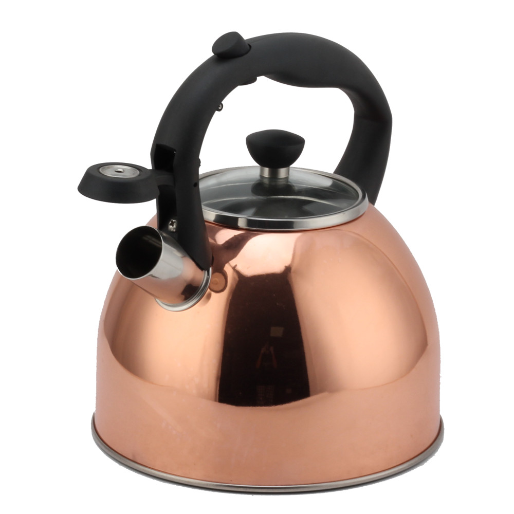 Fashionable S/S Whistling Kettle for Kitchen