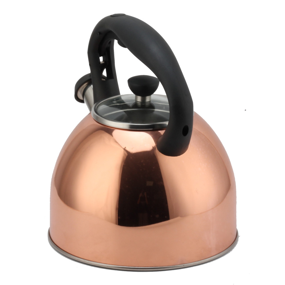 Fashionable S/S Whistling Kettle for Kitchen