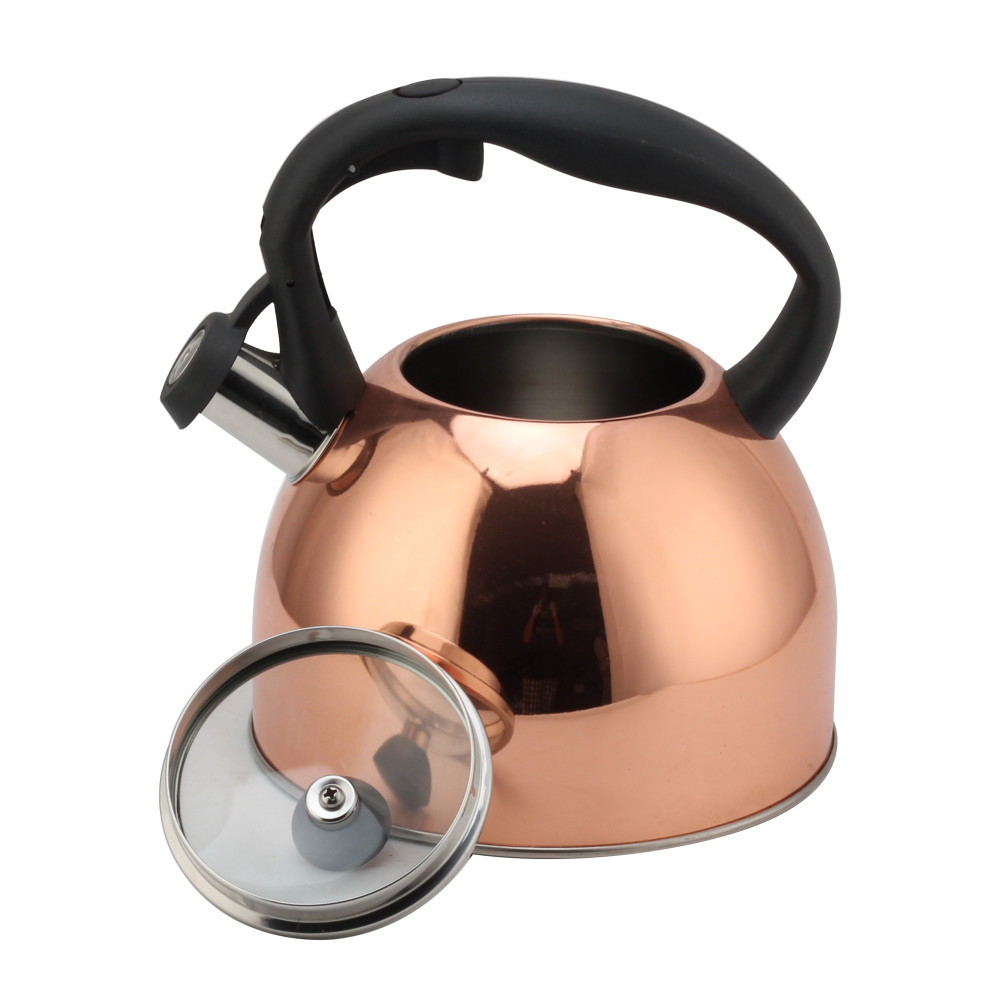 Fashionable S/S Whistling Kettle for Kitchen