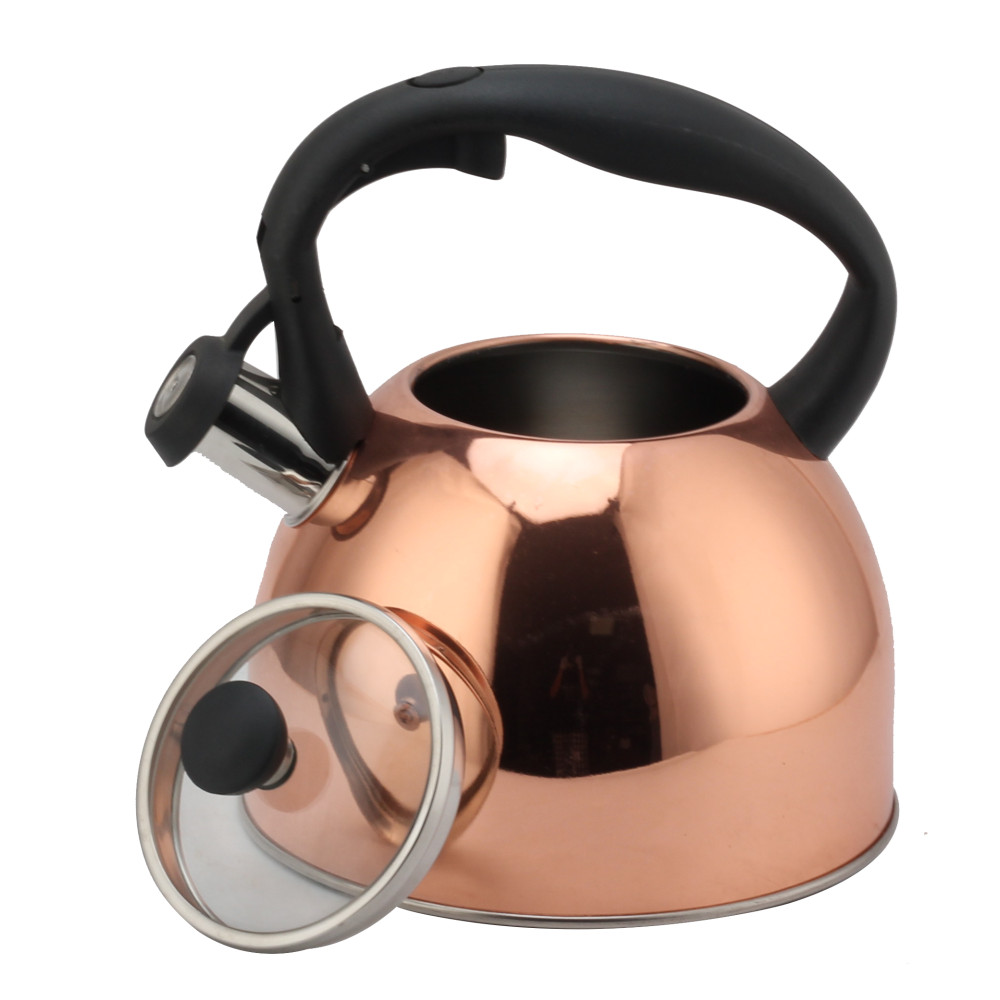 Fashionable S/S Whistling Kettle for Kitchen