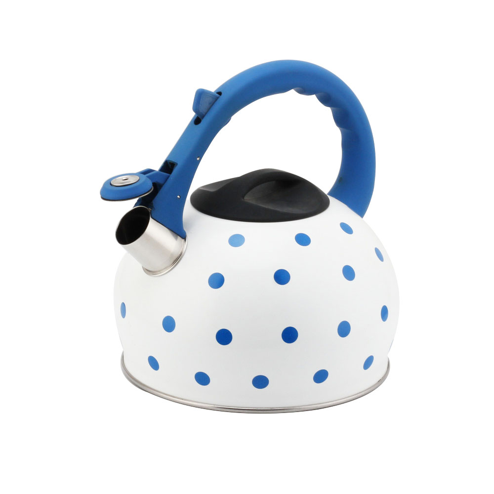 Stainless Steel Tea Kettle With Whistling Sound-Blue