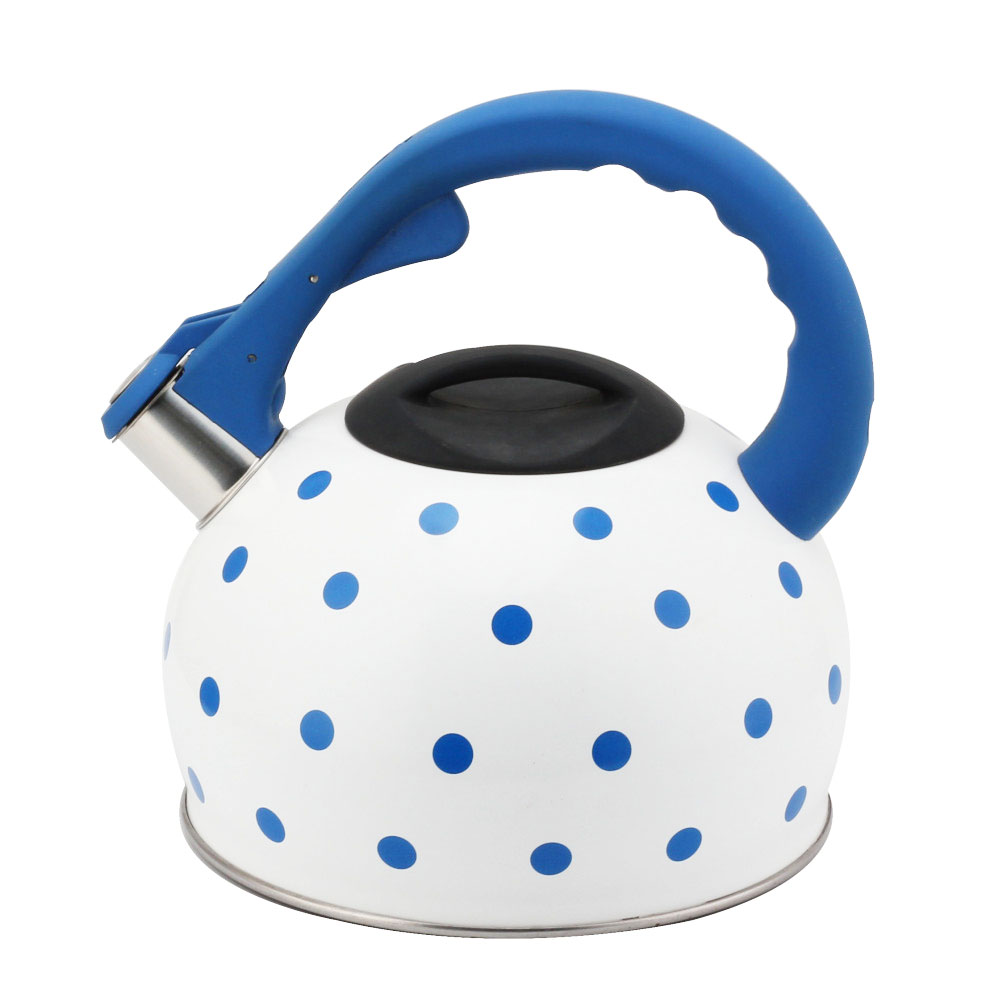 Stainless Steel Tea Kettle With Whistling Sound-Blue