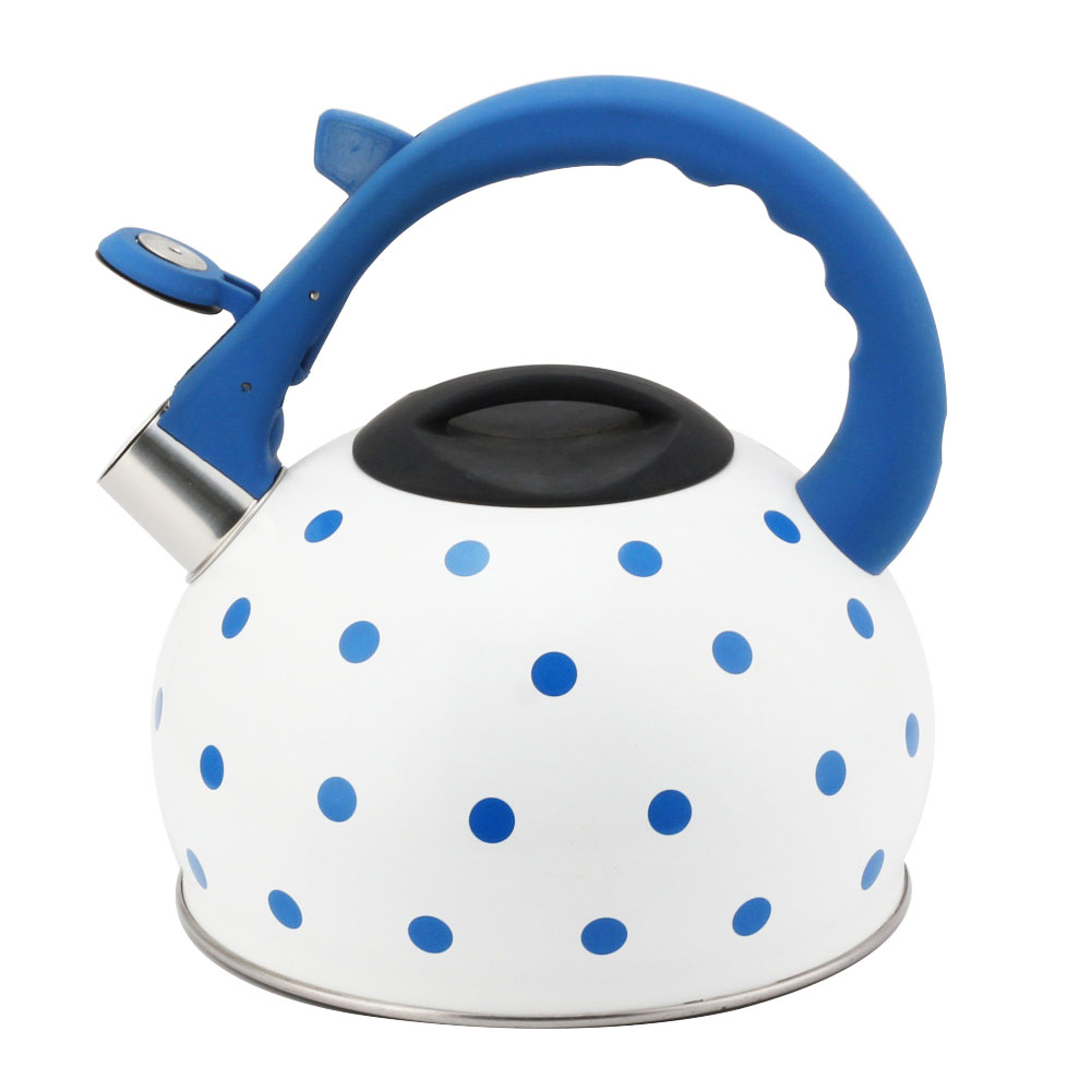 Stainless Steel Tea Kettle With Whistling Sound-Blue