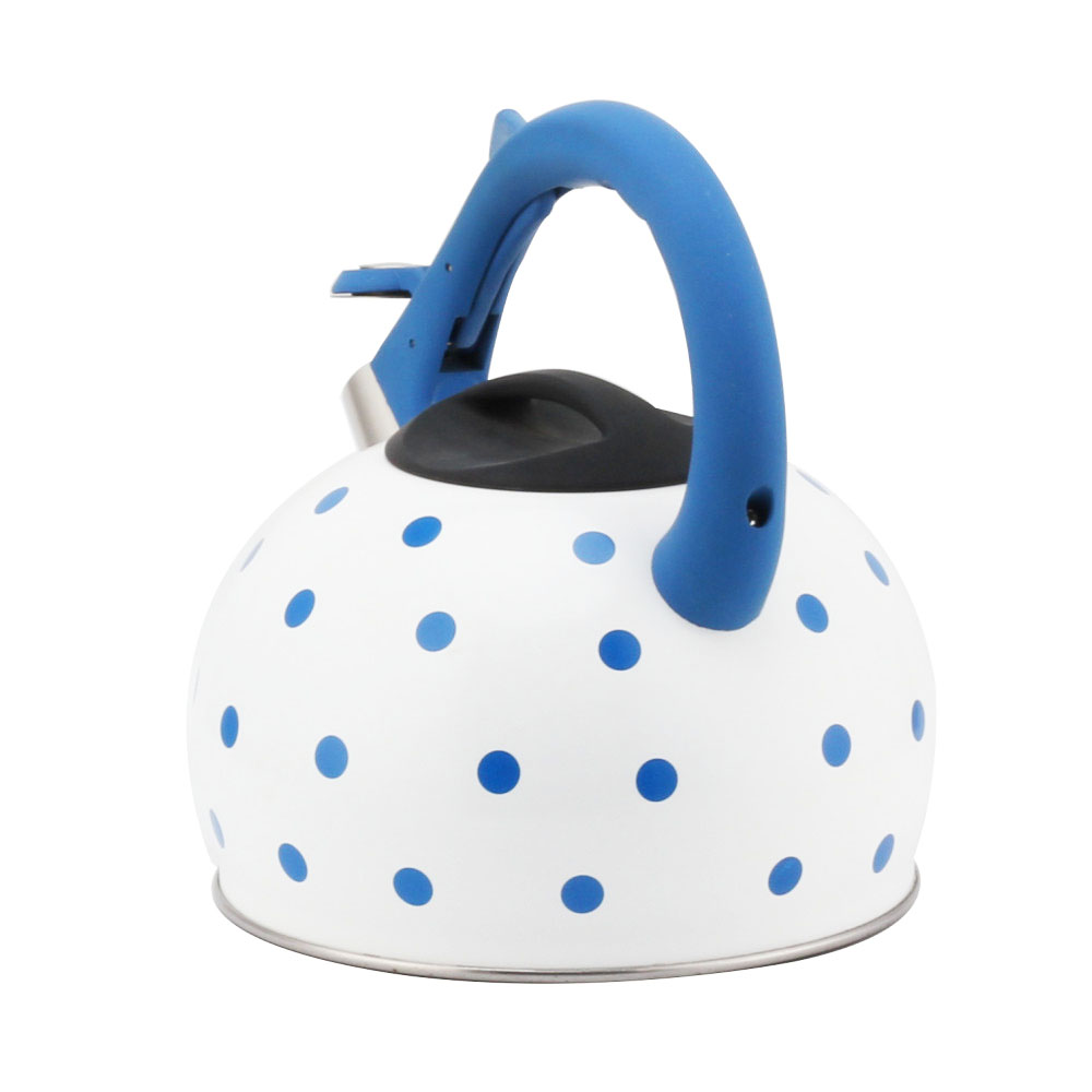 Stainless Steel Tea Kettle With Whistling Sound-Blue