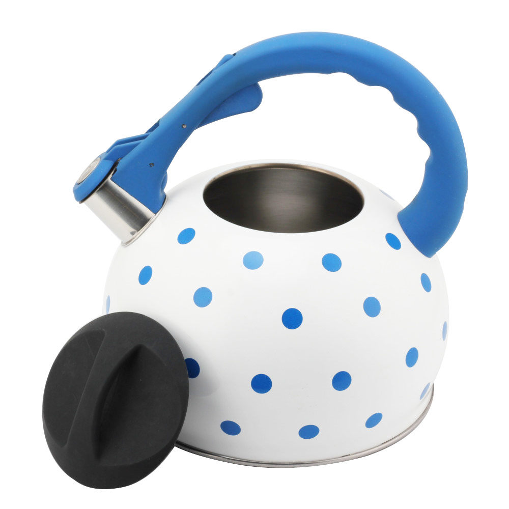 Stainless Steel Tea Kettle With Whistling Sound-Blue