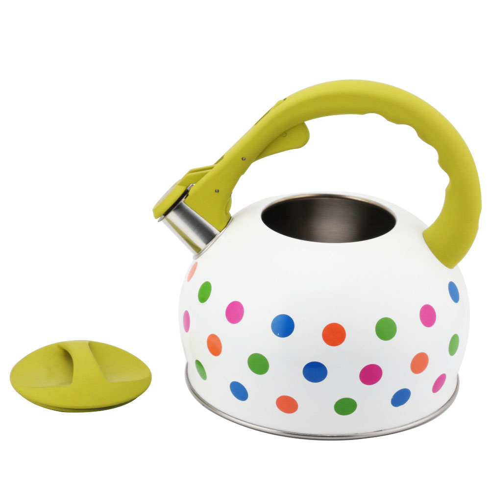 Stainless Steel Tea Kettle With Whistling Sound-Green Handle