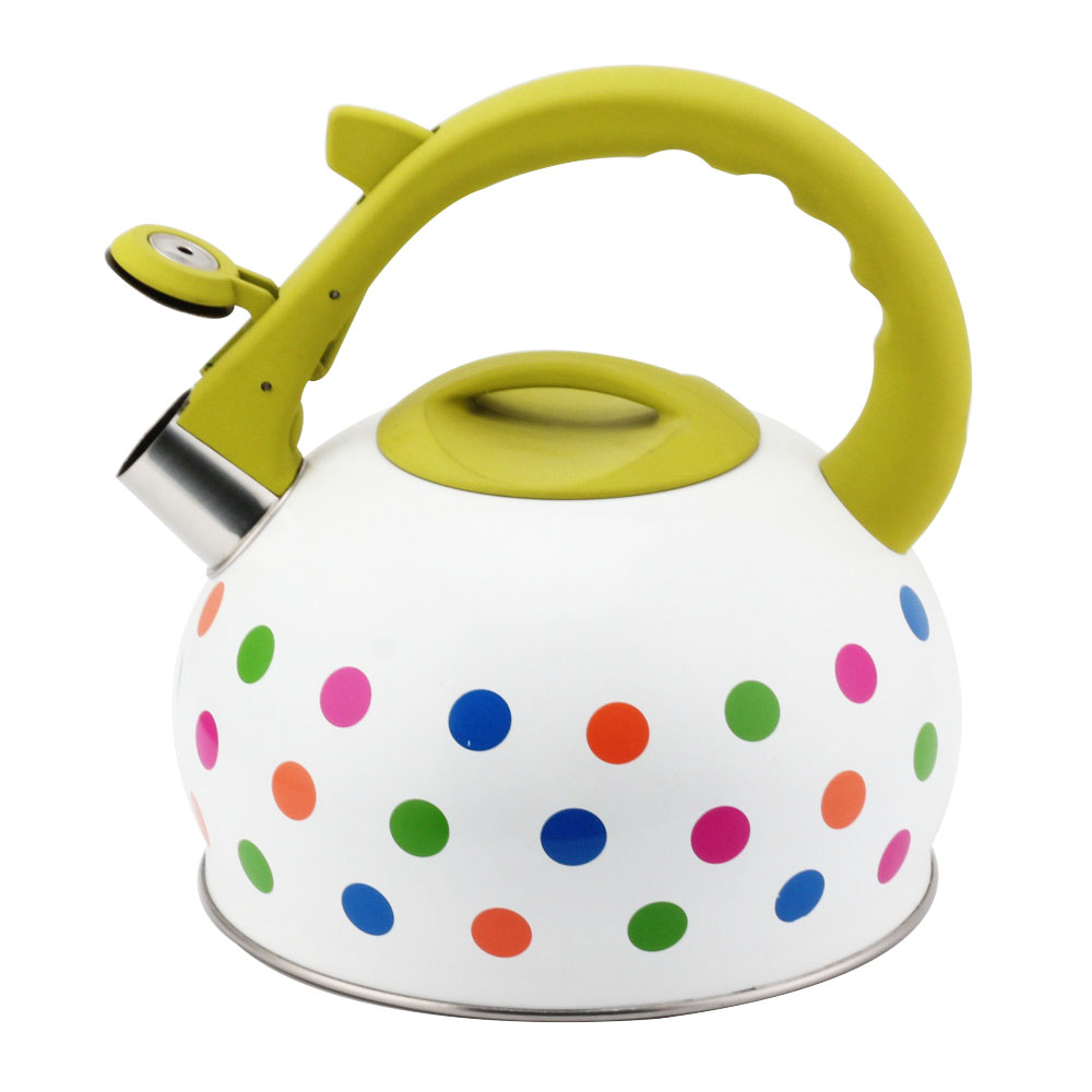 Stainless Steel Tea Kettle With Whistling Sound-Green Handle