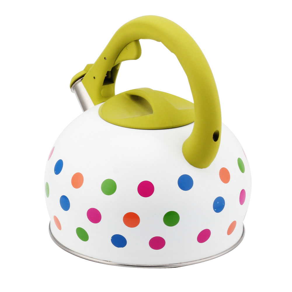 Stainless Steel Tea Kettle With Whistling Sound-Green Handle