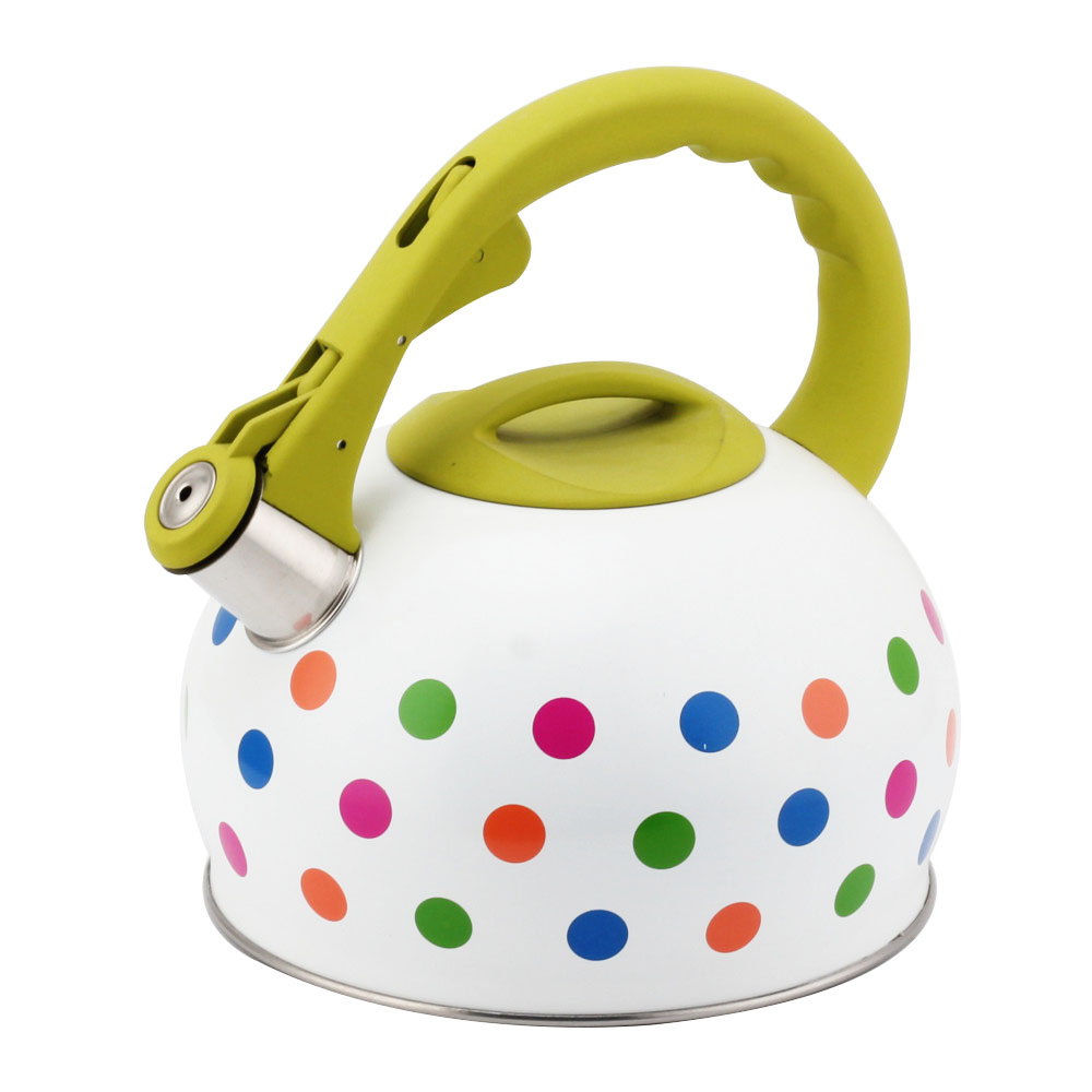 Stainless Steel Tea Kettle With Whistling Sound-Green Handle