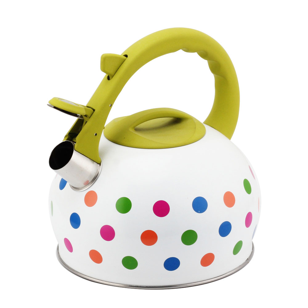 Stainless Steel Tea Kettle With Whistling Sound-Green Handle