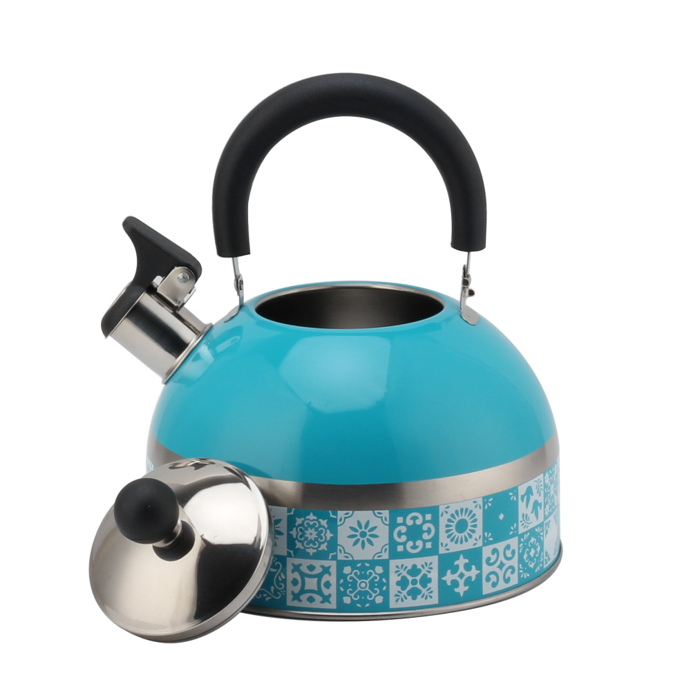 Stainless Steel Tea Kettle With Whistling Sound