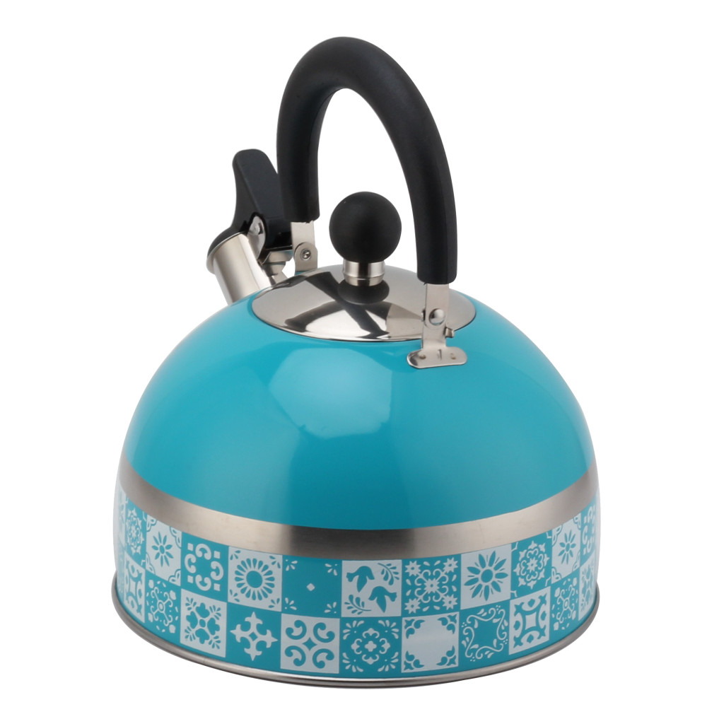 Stainless Steel Tea Kettle With Whistling Sound