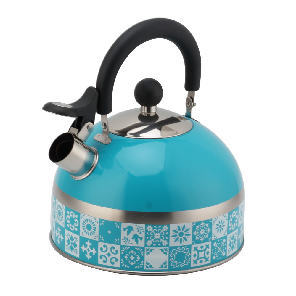 Stainless Steel Tea Kettle With Whistling Sound