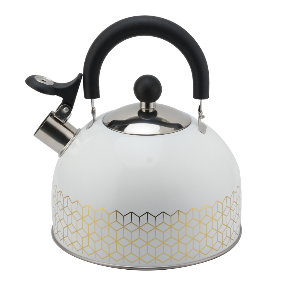 Patterned Stainless Steel Tea Kettle With Whistling Sound-White