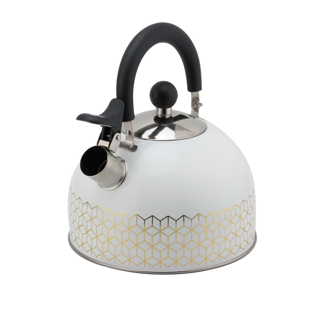 Patterned Stainless Steel Tea Kettle With Whistling Sound-White