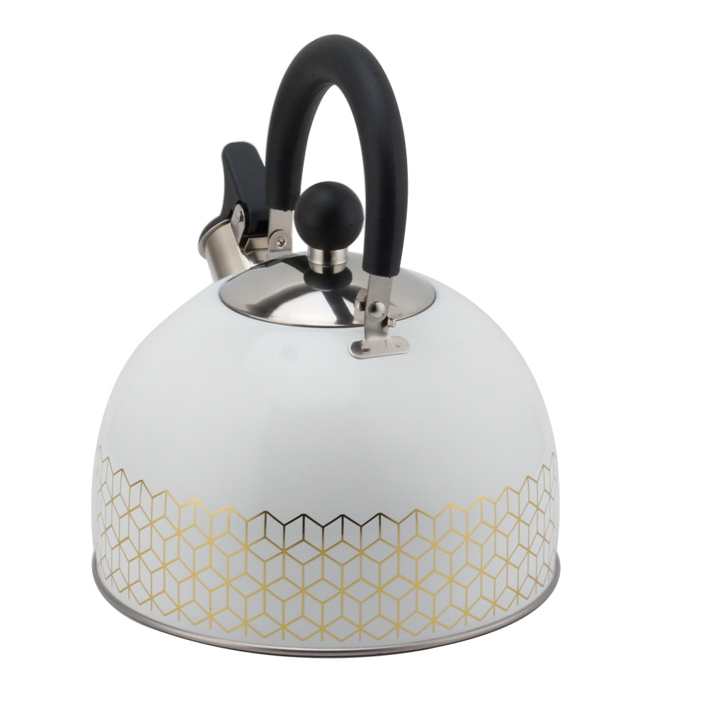 Patterned Stainless Steel Tea Kettle With Whistling Sound-White