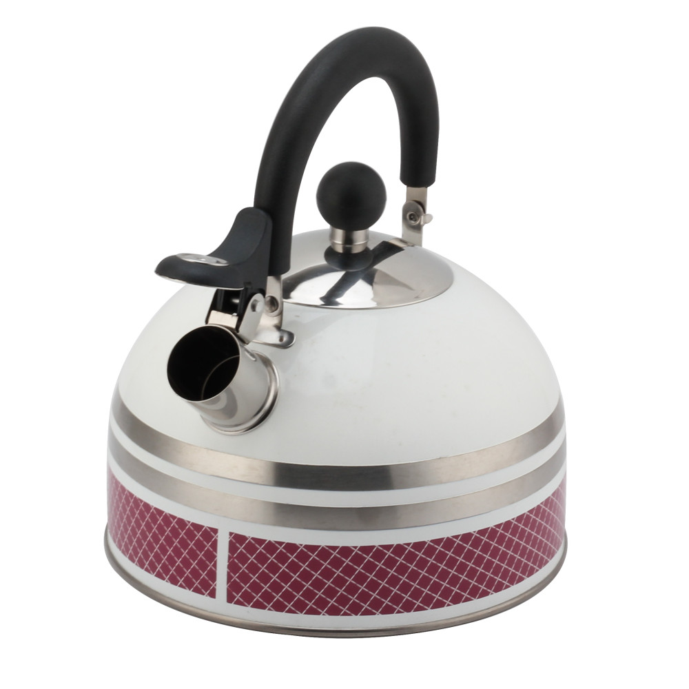 S/S Tea Kettle With Whistling Sound-Suitable for All Hob Types