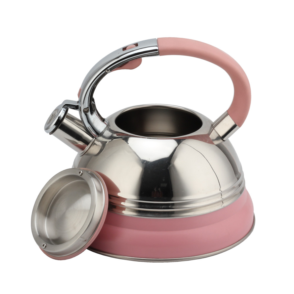 Modern Induction Kettle, Stainless Steel Whistling Kettle, Tea Kettle for All Hobs