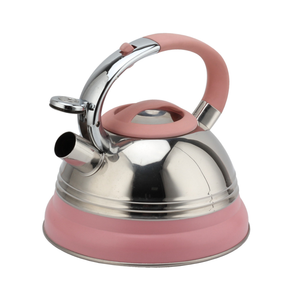 Modern Induction Kettle, Stainless Steel Whistling Kettle, Tea Kettle for All Hobs