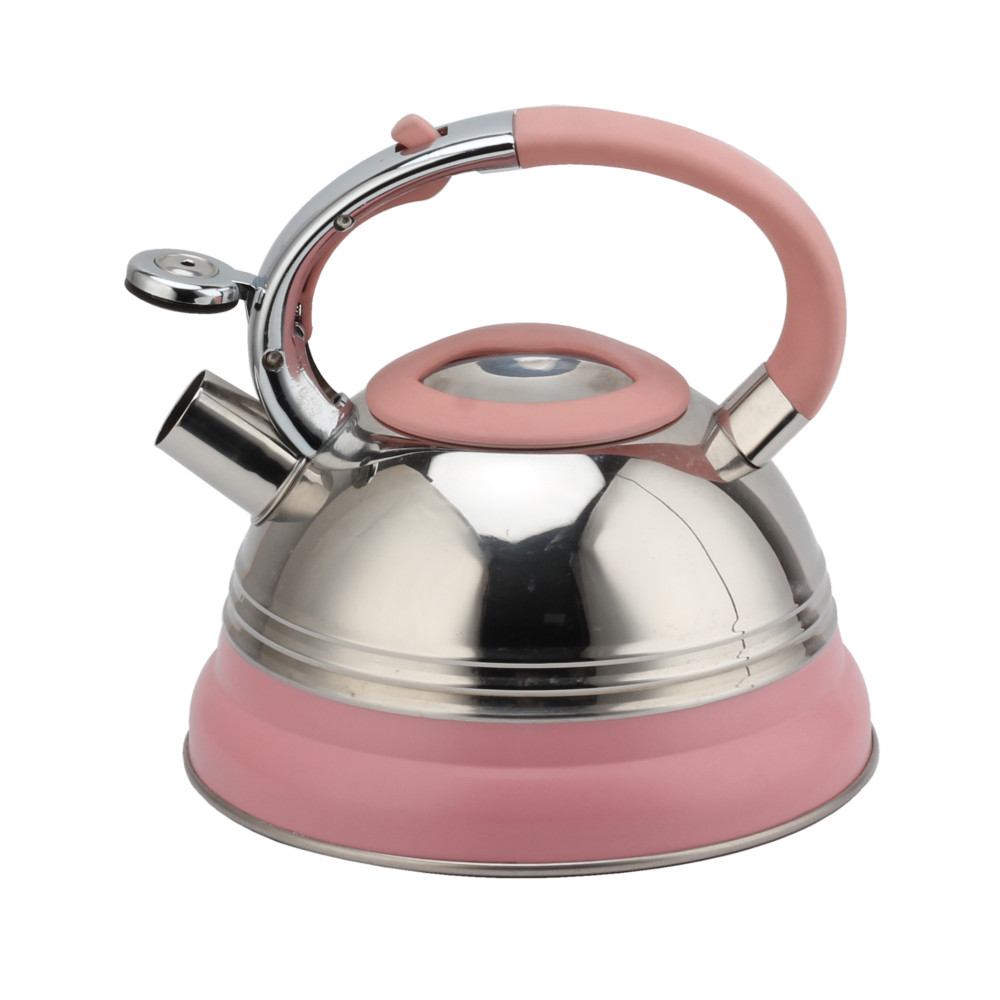 Modern Induction Kettle, Stainless Steel Whistling Kettle, Tea Kettle for All Hobs