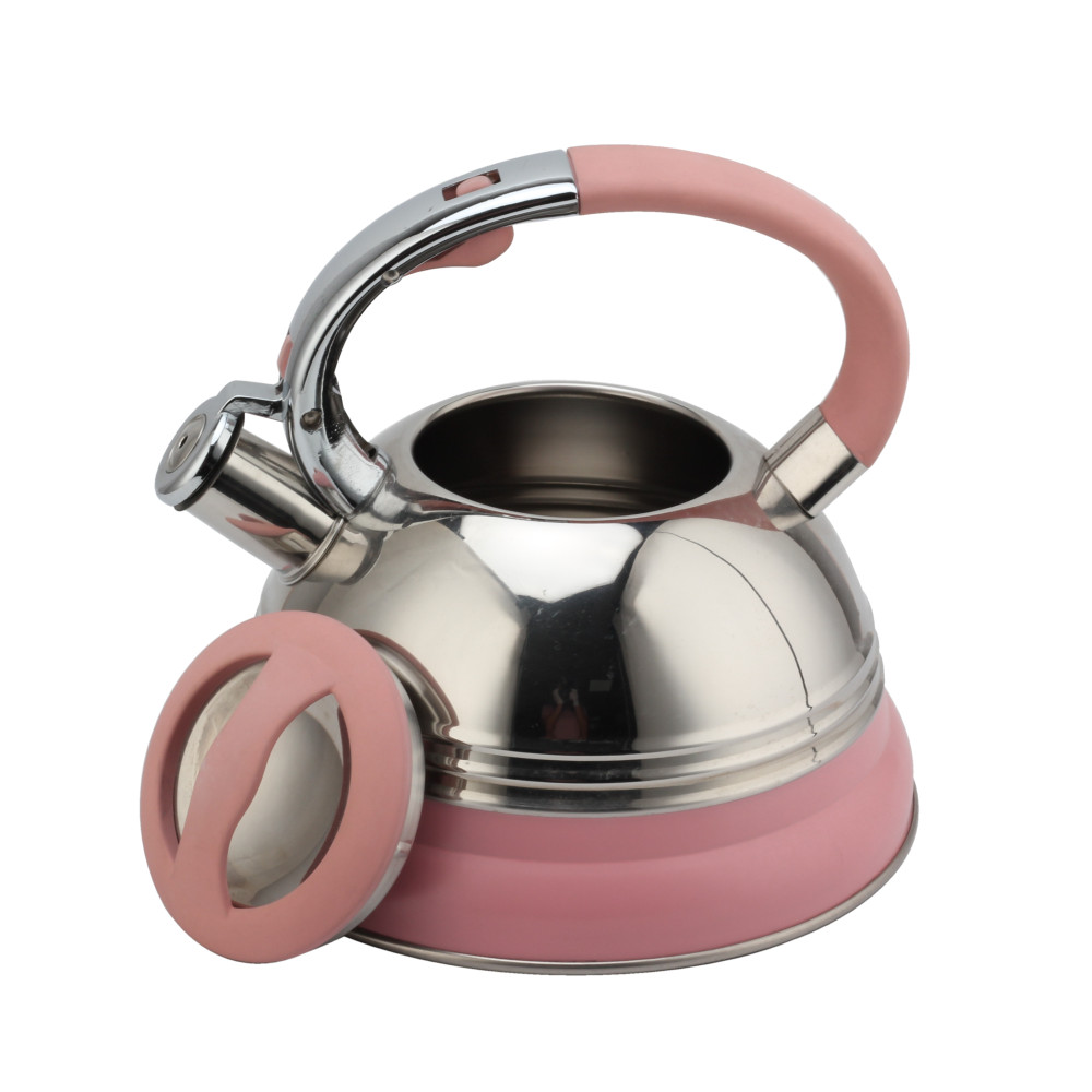 Modern Induction Kettle, Stainless Steel Whistling Kettle, Tea Kettle for All Hobs