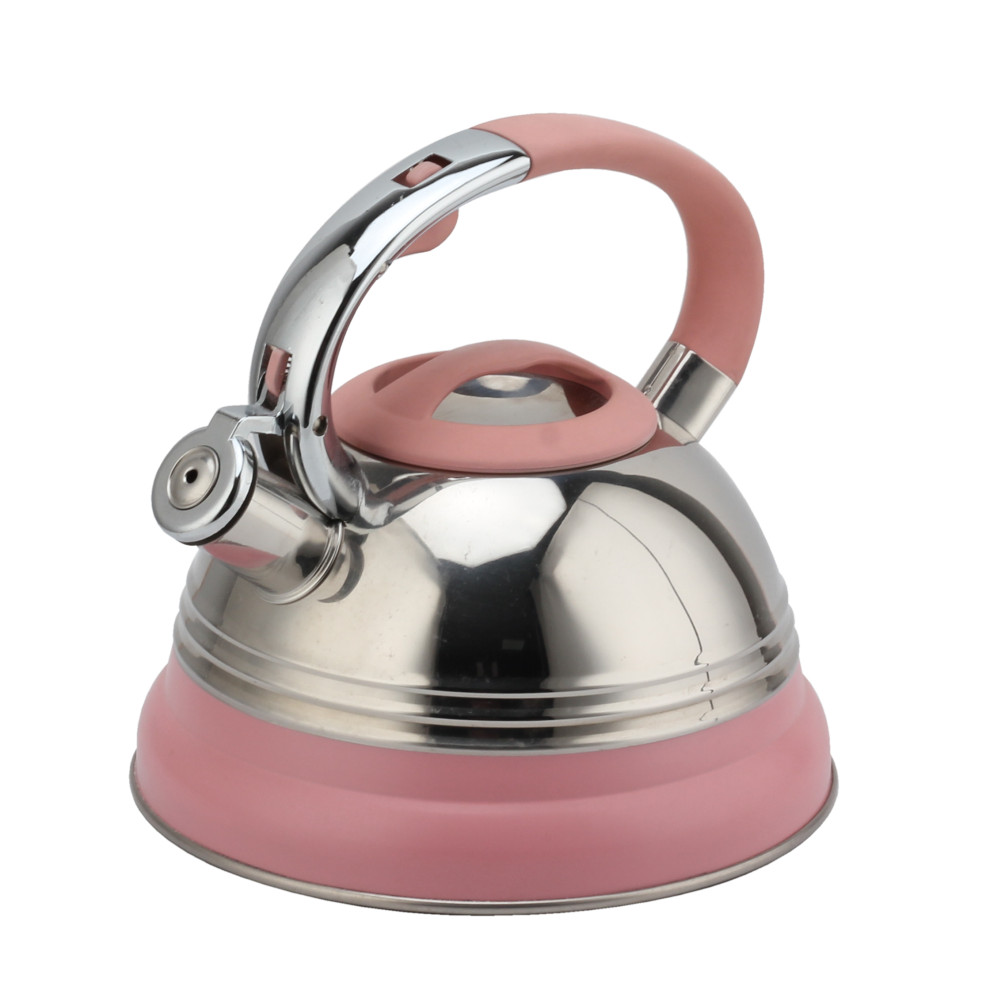 Modern Induction Kettle, Stainless Steel Whistling Kettle, Tea Kettle for All Hobs