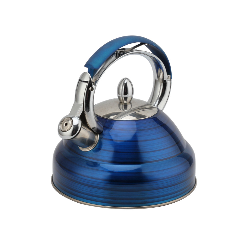 Modern Induction Whistling Kettle Stainless Steel Tea Kettle for All Hobs