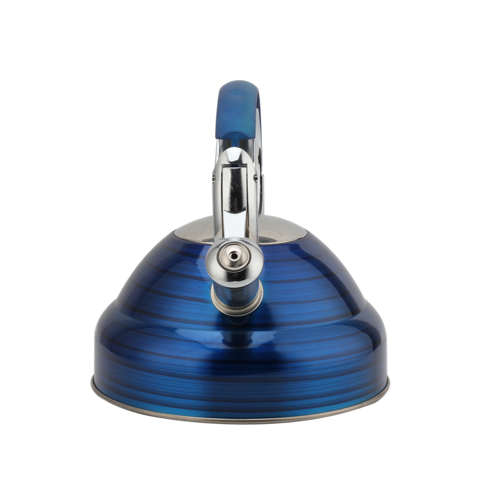 Modern Induction Whistling Kettle Stainless Steel Tea Kettle for All Hobs