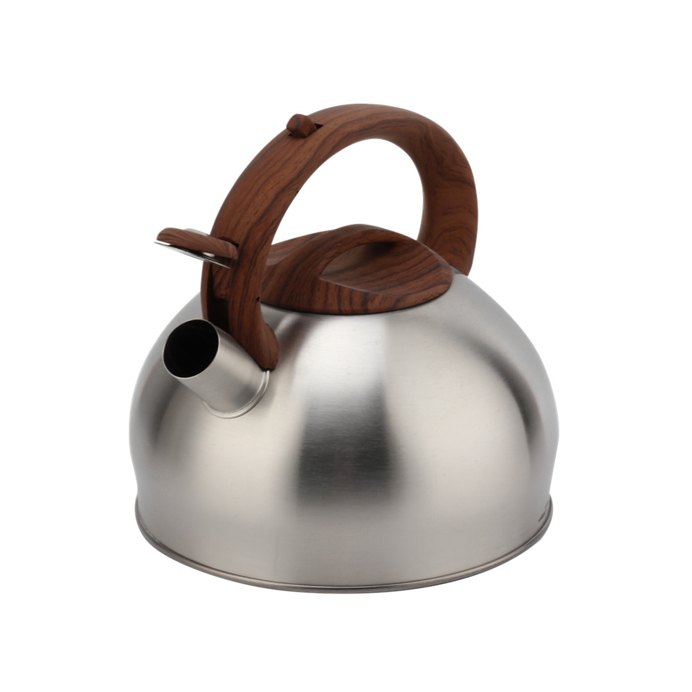 Stove Whistling Kettle-Stainless Steel Kettle Induction