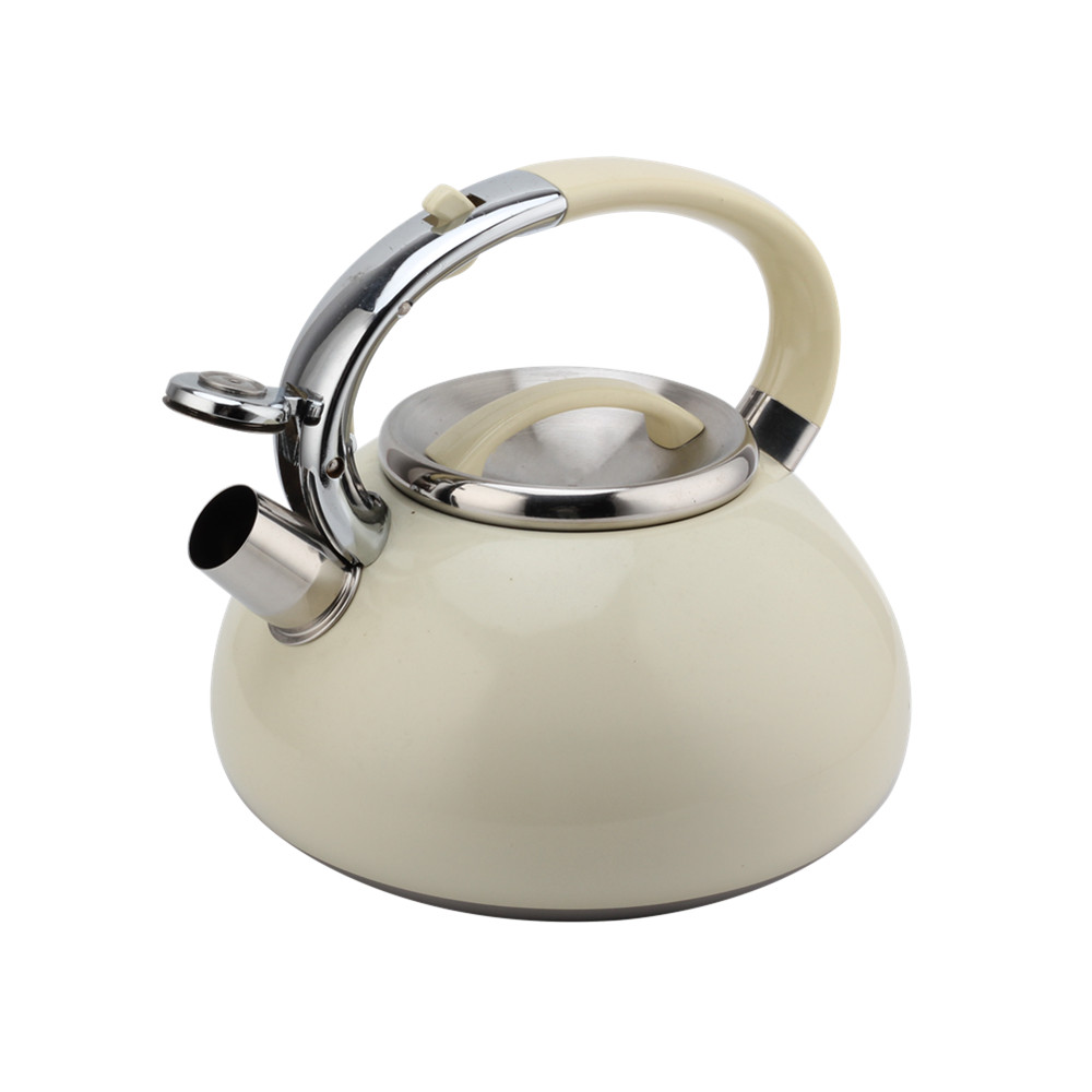 Kettle With Flute-Tea Kettle-Stainless Steel-Induction