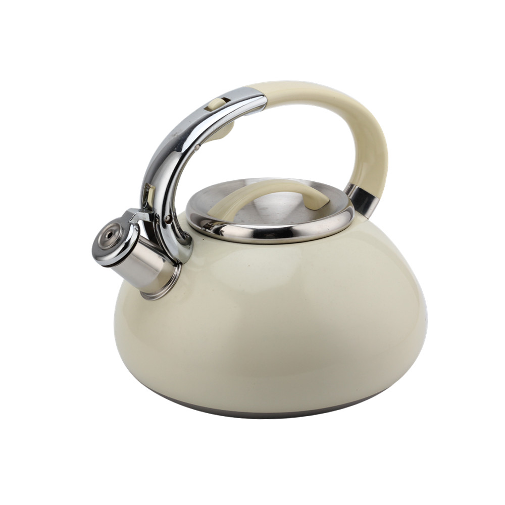 Kettle With Flute-Tea Kettle-Stainless Steel-Induction