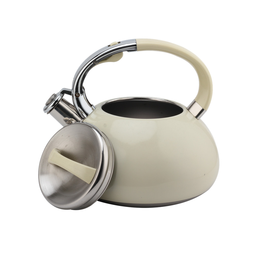 Kettle With Flute-Tea Kettle-Stainless Steel-Induction