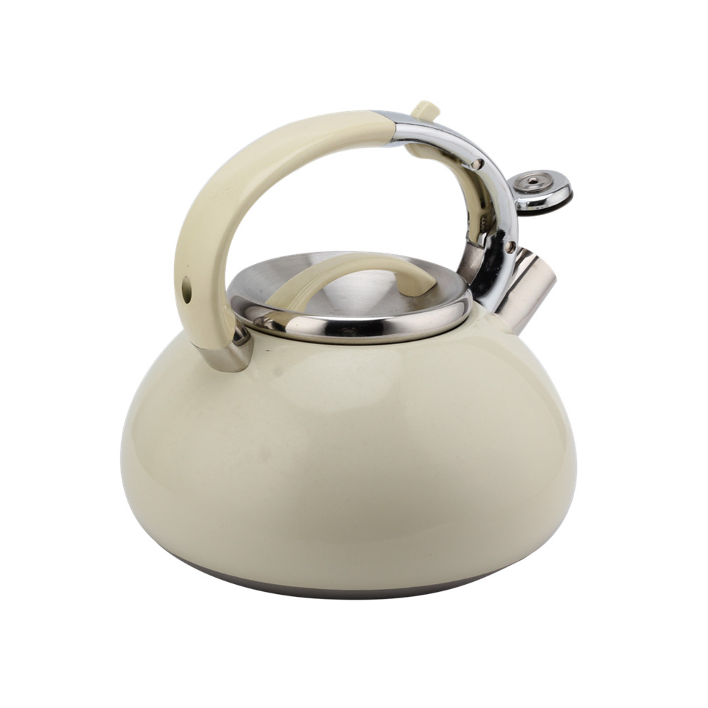 Kettle With Flute-Tea Kettle-Stainless Steel-Induction