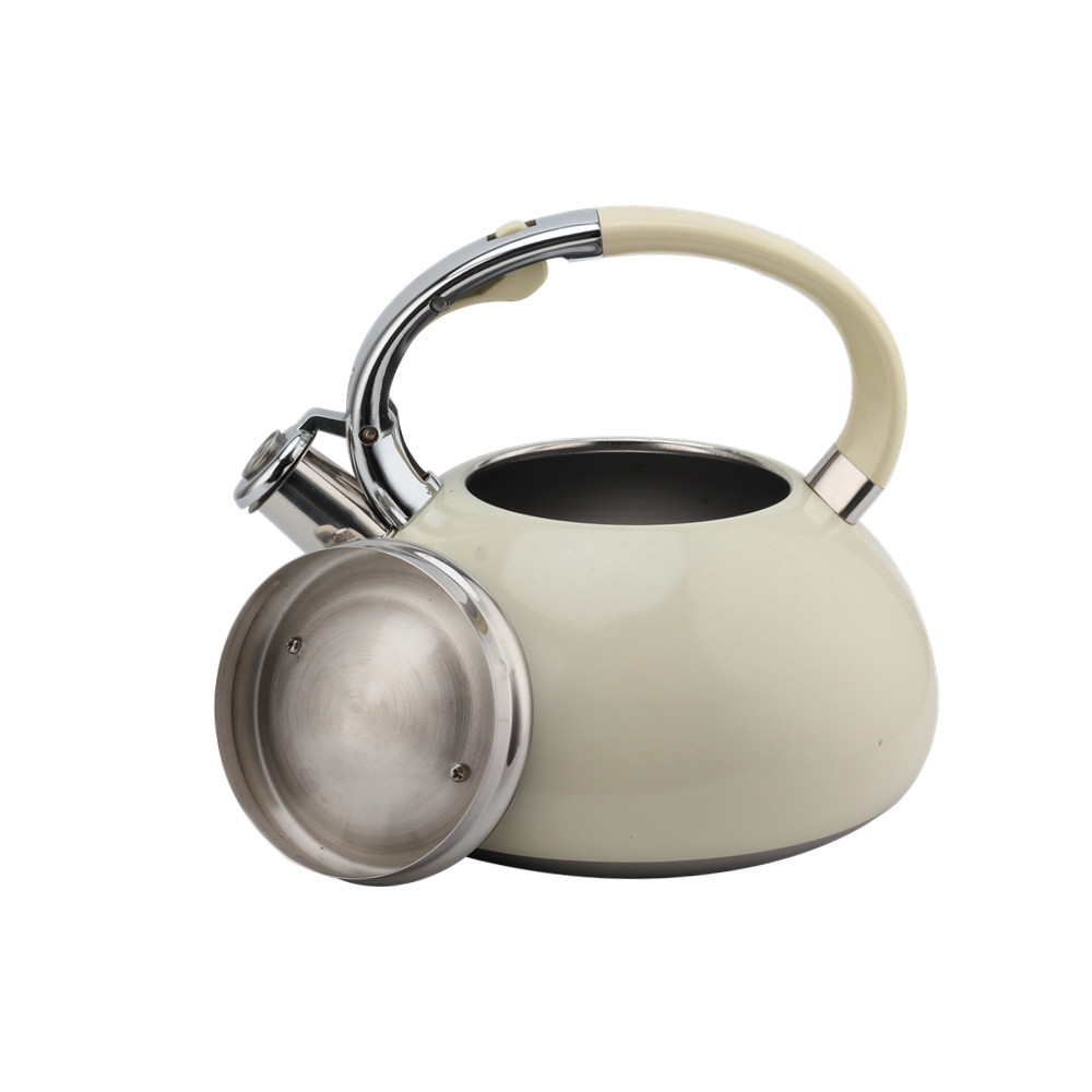 Kettle With Flute-Tea Kettle-Stainless Steel-Induction