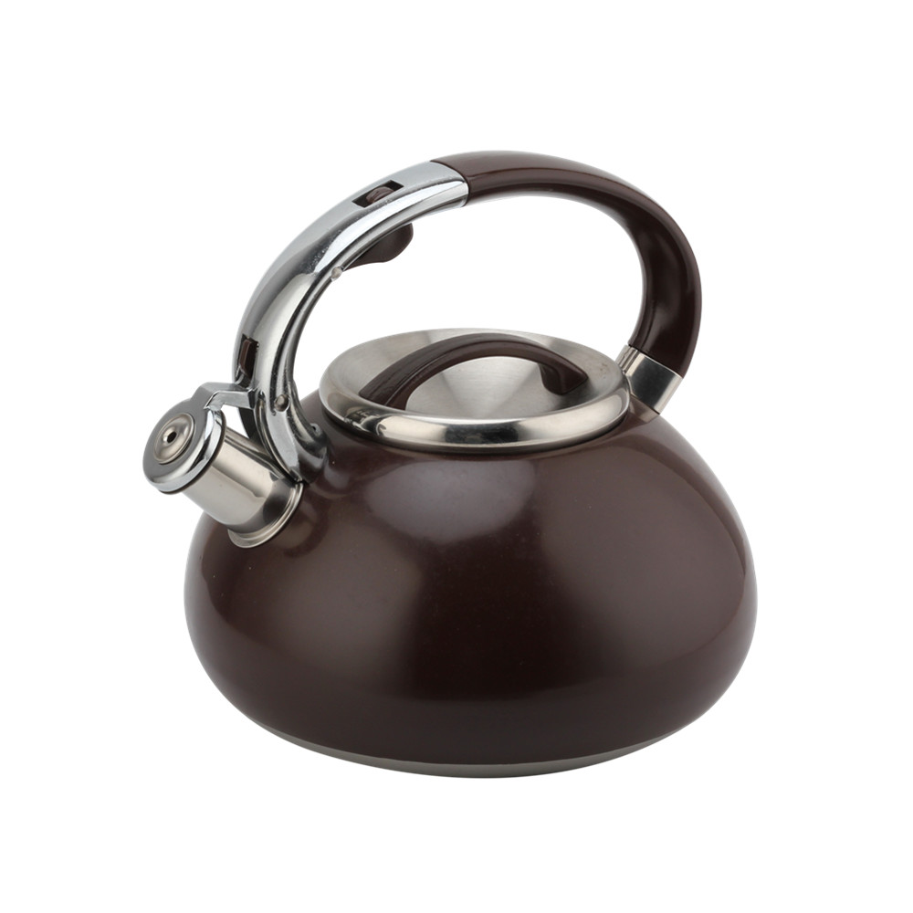 Whistling Kettle-Kettle With Flute-Tea Kettle-Stainless Steel-Induction