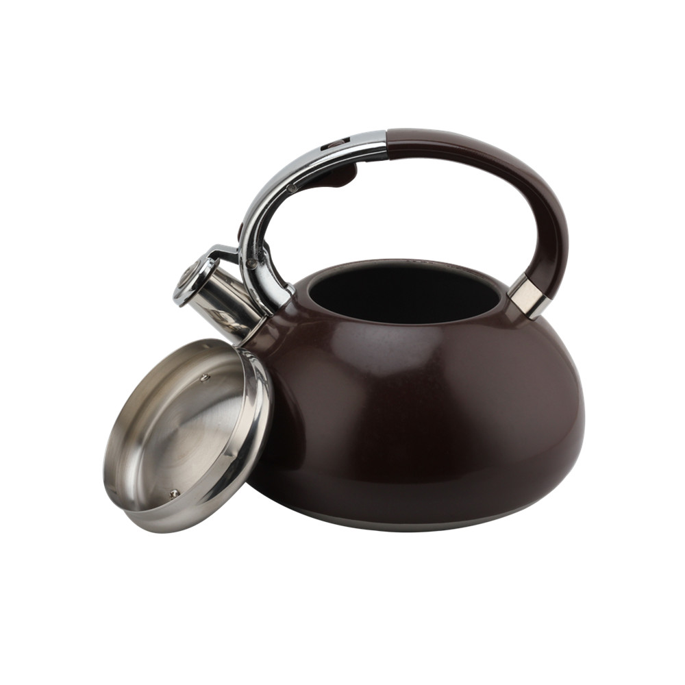 Whistling Kettle-Kettle With Flute-Tea Kettle-Stainless Steel-Induction