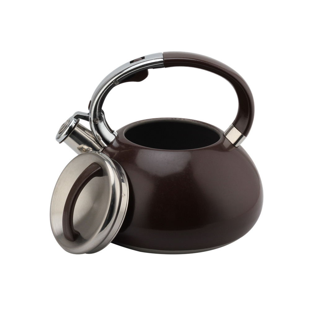 Whistling Kettle-Kettle With Flute-Tea Kettle-Stainless Steel-Induction