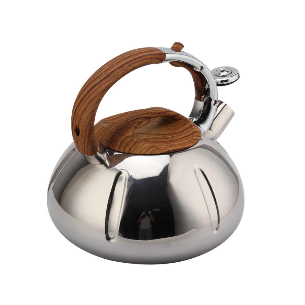 Fashionable Whistling Kettle-Kettle With Flute-Tea Kettle