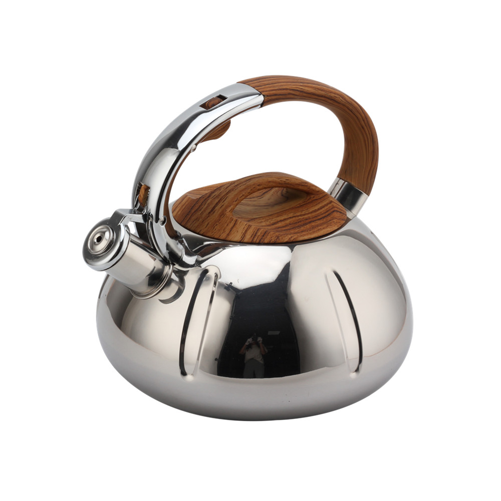 Fashionable Whistling Kettle-Kettle With Flute-Tea Kettle