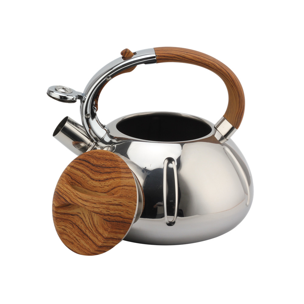 Fashionable Whistling Kettle-Kettle With Flute-Tea Kettle