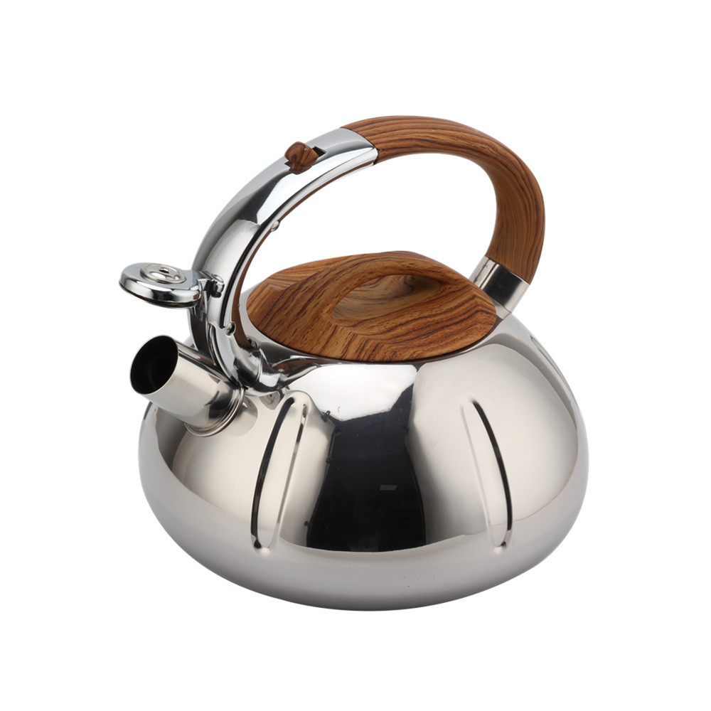 Fashionable Whistling Kettle-Kettle With Flute-Tea Kettle