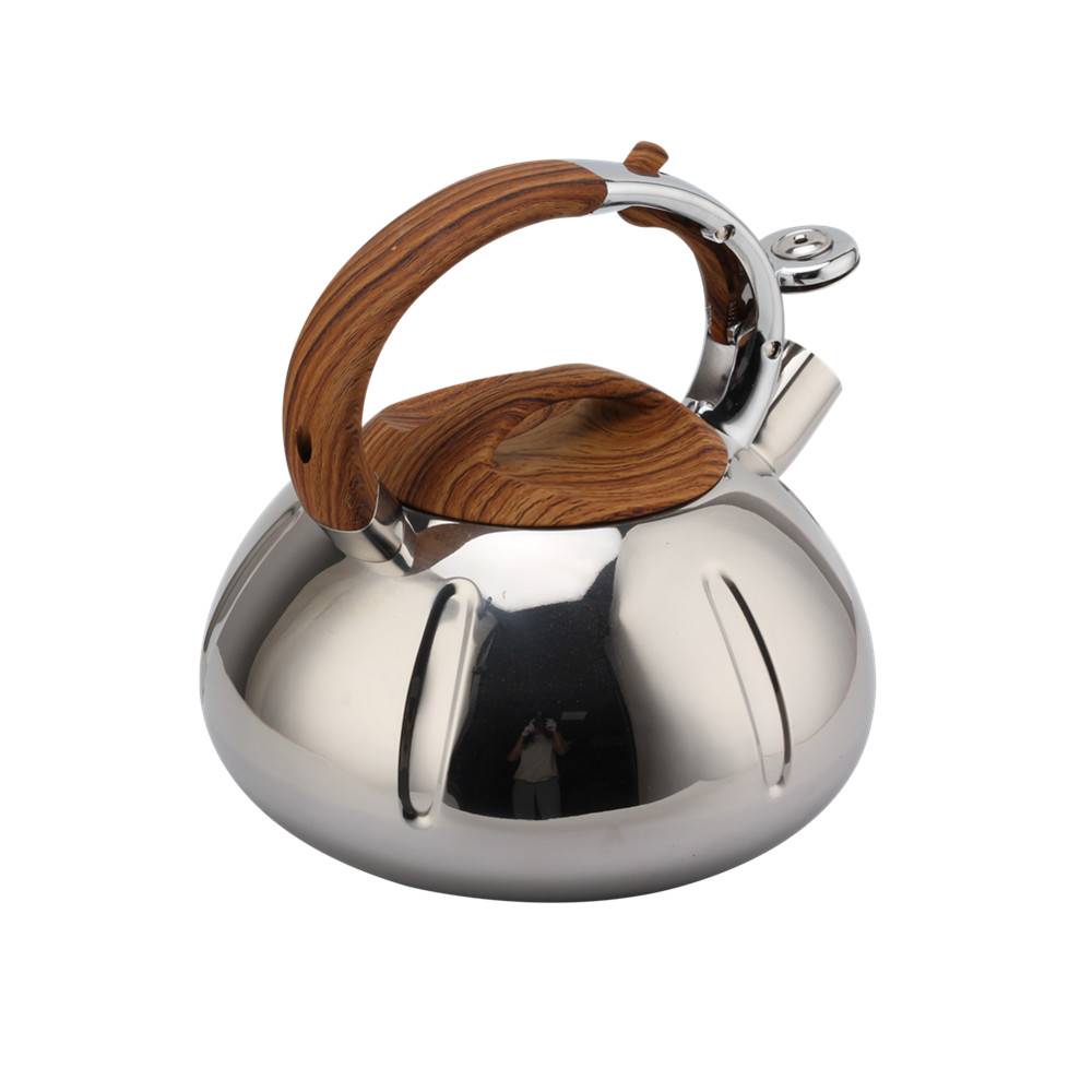 Fashionable Whistling Kettle-Kettle With Flute-Tea Kettle