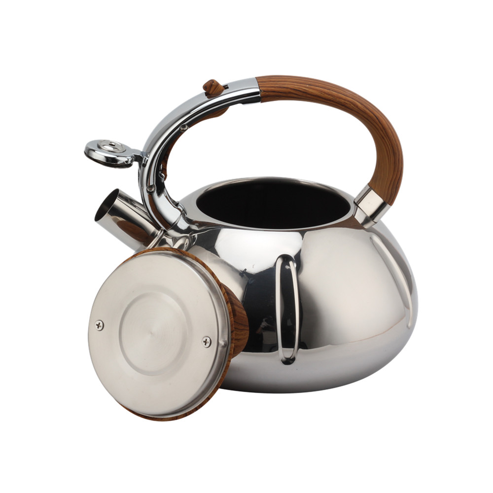 Fashionable Whistling Kettle-Kettle With Flute-Tea Kettle