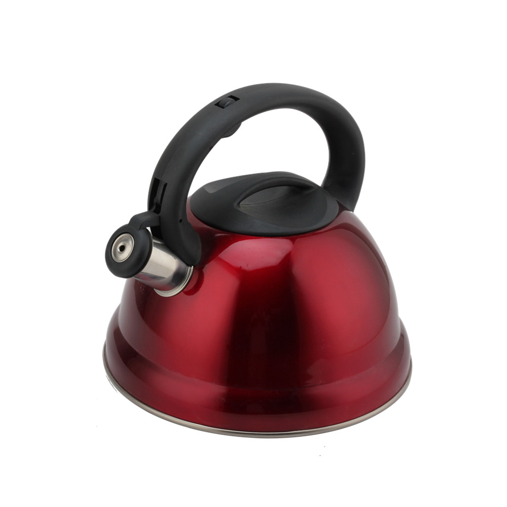 Tea Kettle With Flute-Whistling Kettle