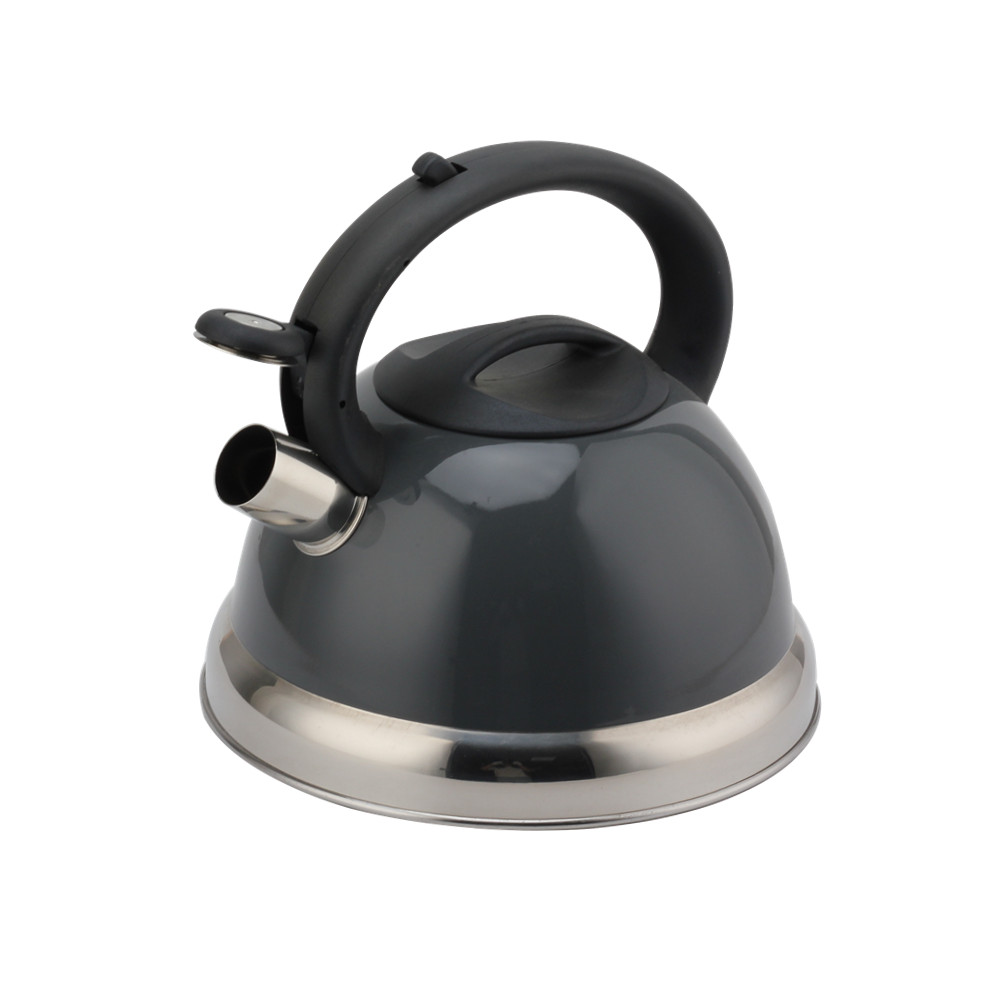 Stainless Steel Kettle - Whistling Kettle Gas Stove - Kettle Stove