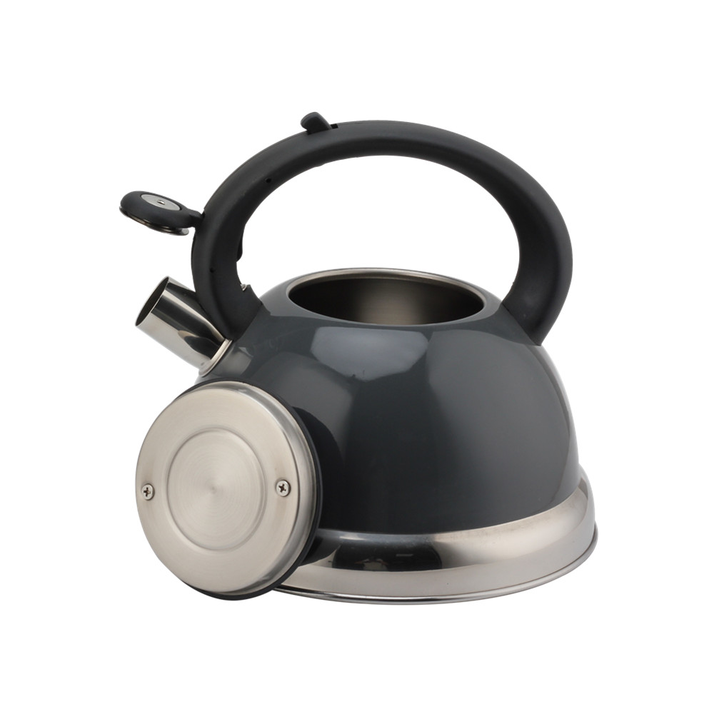 Stainless Steel Kettle - Whistling Kettle Gas Stove - Kettle Stove