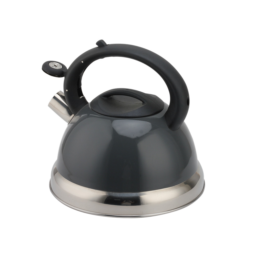 Stainless Steel Kettle - Whistling Kettle Gas Stove - Kettle Stove