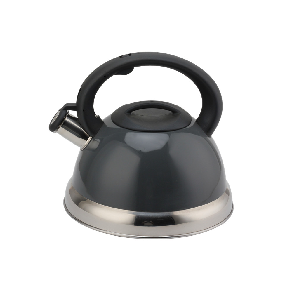 Stainless Steel Kettle - Whistling Kettle Gas Stove - Kettle Stove