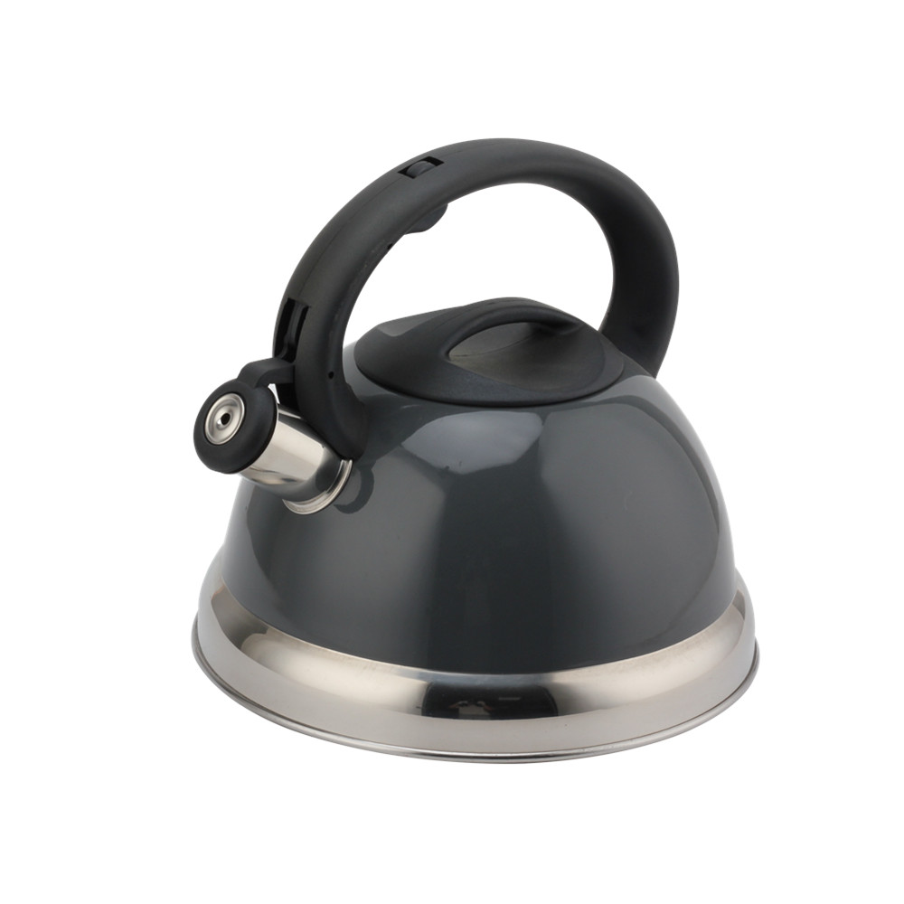 Stainless Steel Kettle - Whistling Kettle Gas Stove - Kettle Stove