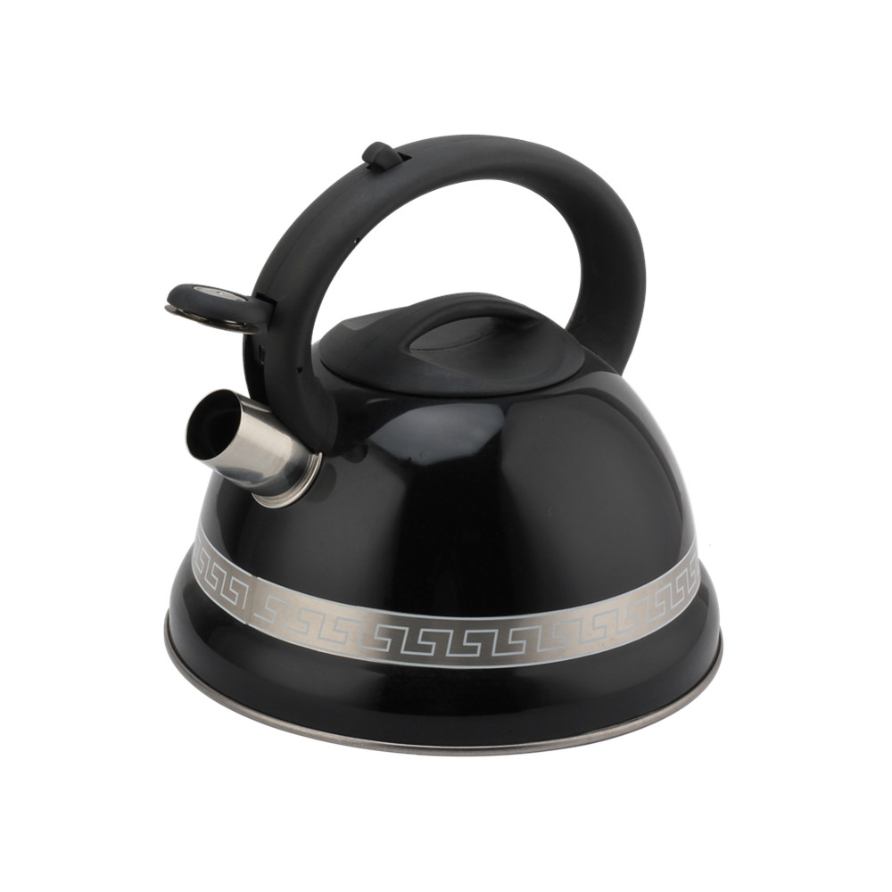 Kettle With Whistle, Suitable for Induction, 3L, Stainless Steel